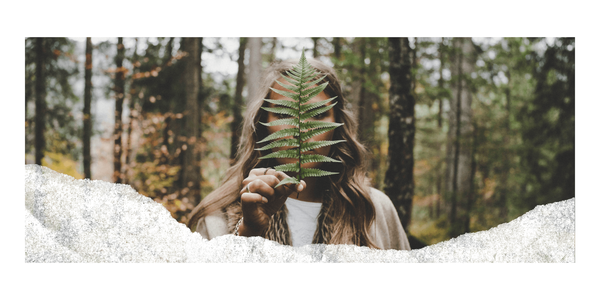 Nourish teaser photo