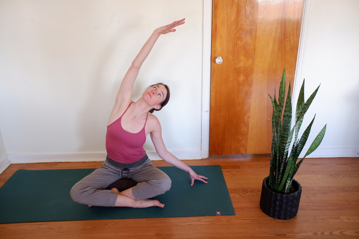 Seated Side Bend Pose