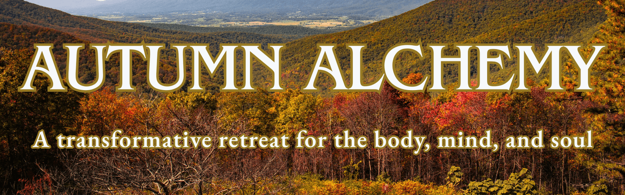 hero image wellness retreat